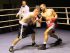 Tervel Pulev vs Artsiom Charniakevic - Foto: Eric Spiering