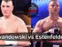 Dennis Lewandowski vs Boris Estenfelder